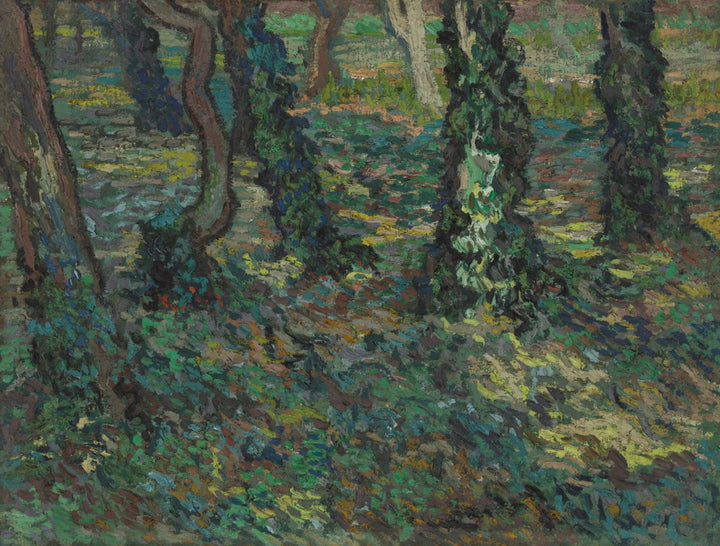ลําต้นของต้นไม้กับไม้เลื้อย F747 - Van Gogh