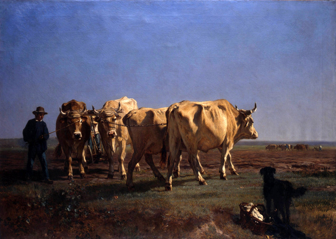 Bœufs allant au labour - Constant Troyon