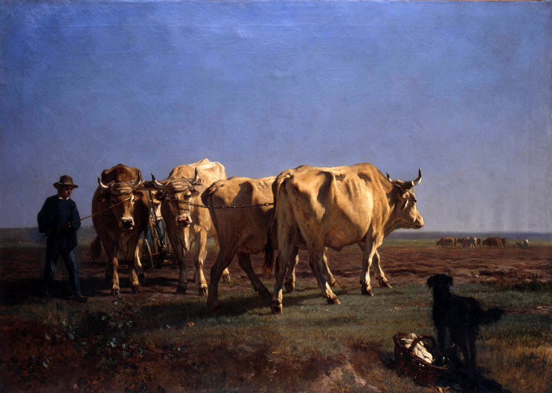 Bœufs allant au labour - Constant Troyon