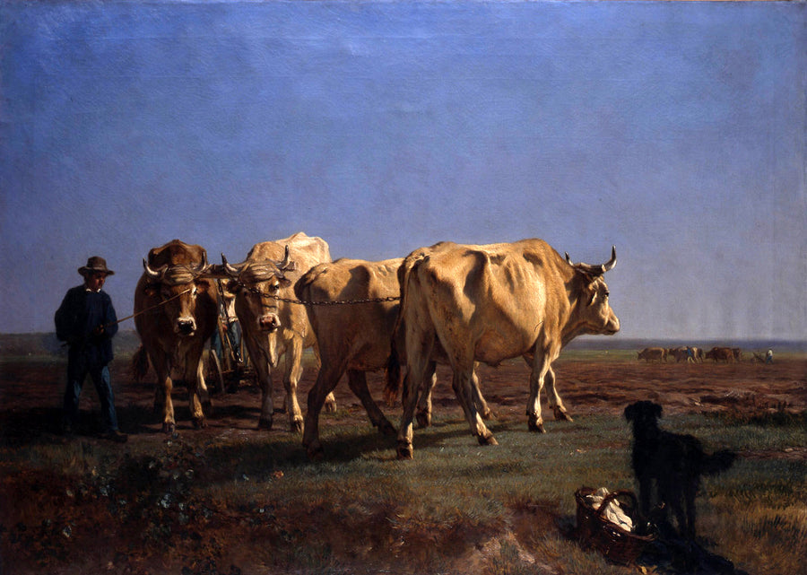 Bœufs allant au labour - Constant Troyon