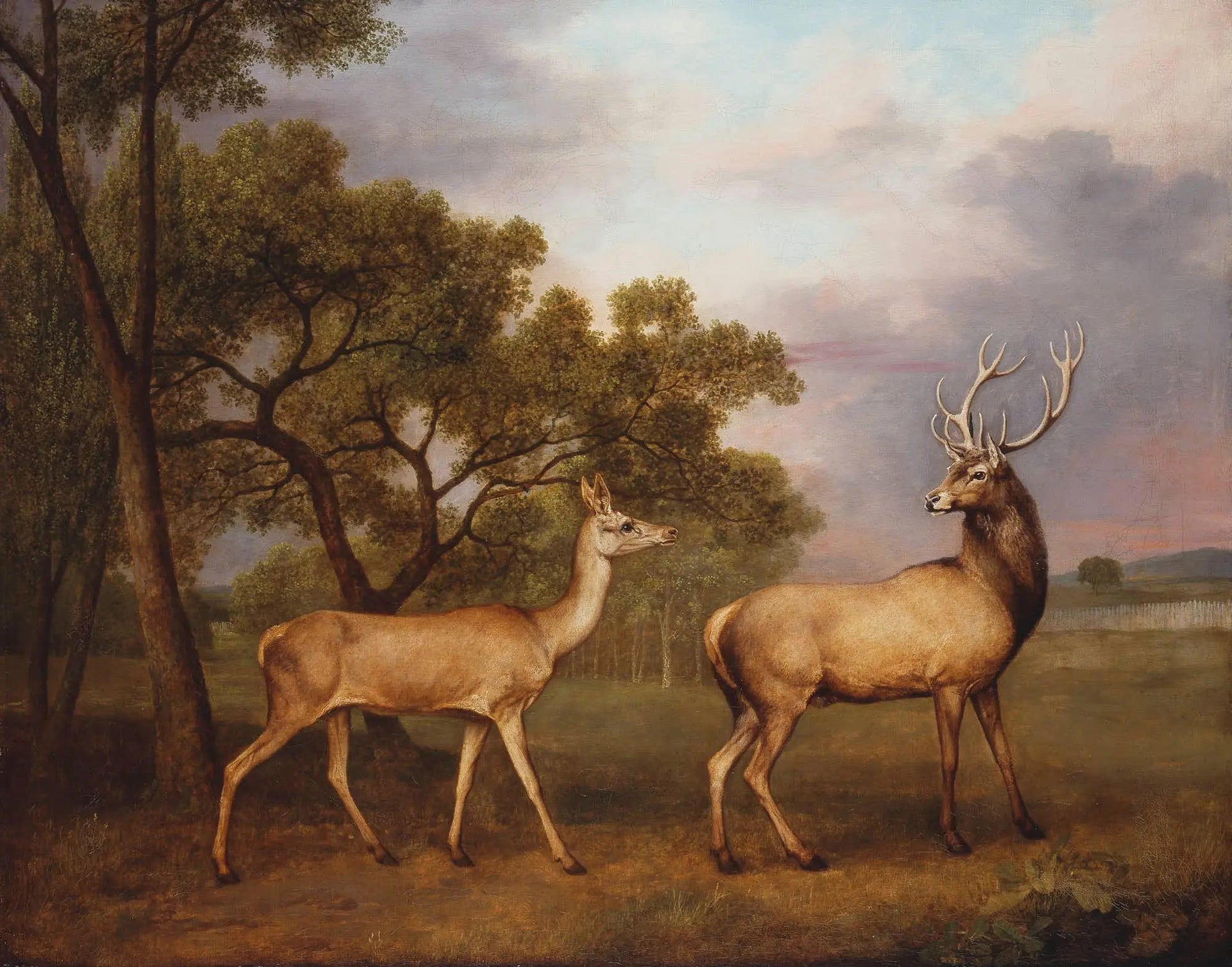 Un cerf élaphe mâle et une biche - George Stubbs image 1 reproduction artisanale de tableau