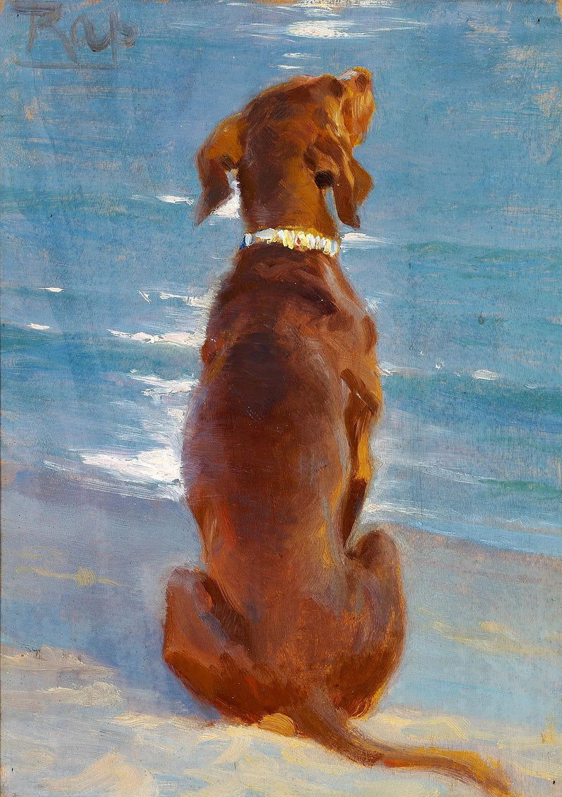 สุนัขสีน้ำตาลนั่งอยู่. Rap. - Peder Severin Krøyer