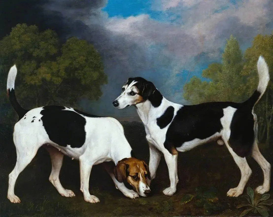 Un couple de Foxhounds - George Stubbs image 1 copie peinte à la main à l’huile