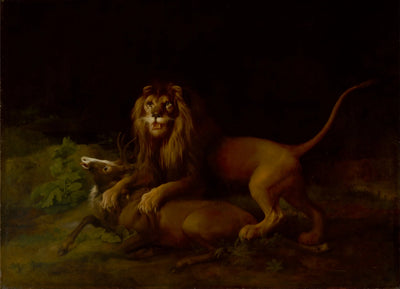 Un lion attaquant un cerf - George Stubbs - Alpha Reproduction