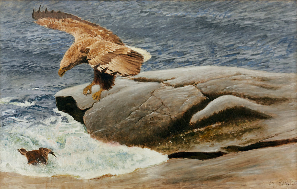 Un pygargue à queue blanche chasse un canard à longue queue - Bruno Liljefors image 1 reproduction artisanale de tableau