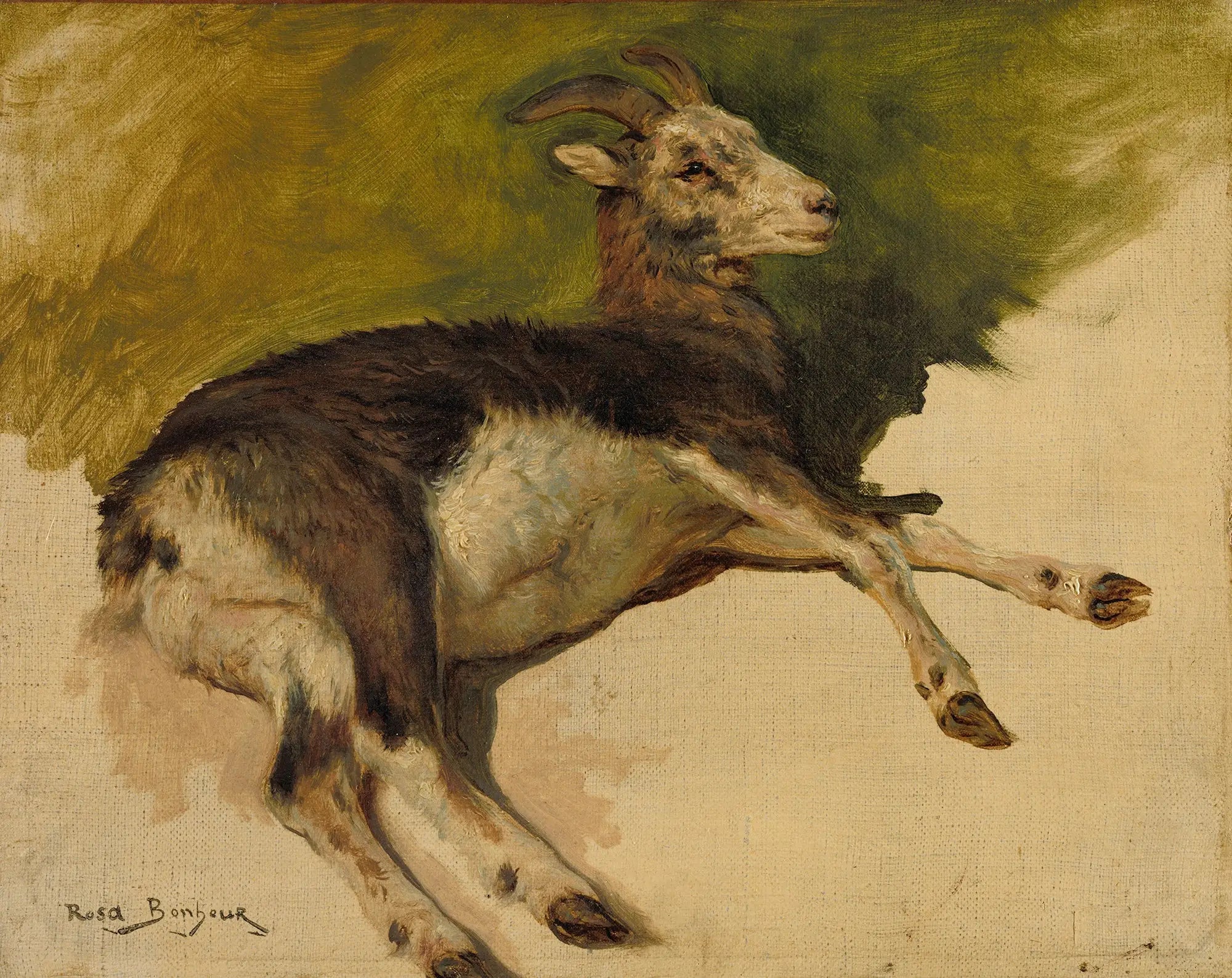 Une chèvre - Rosa Bonheur - Alpha Reproduction