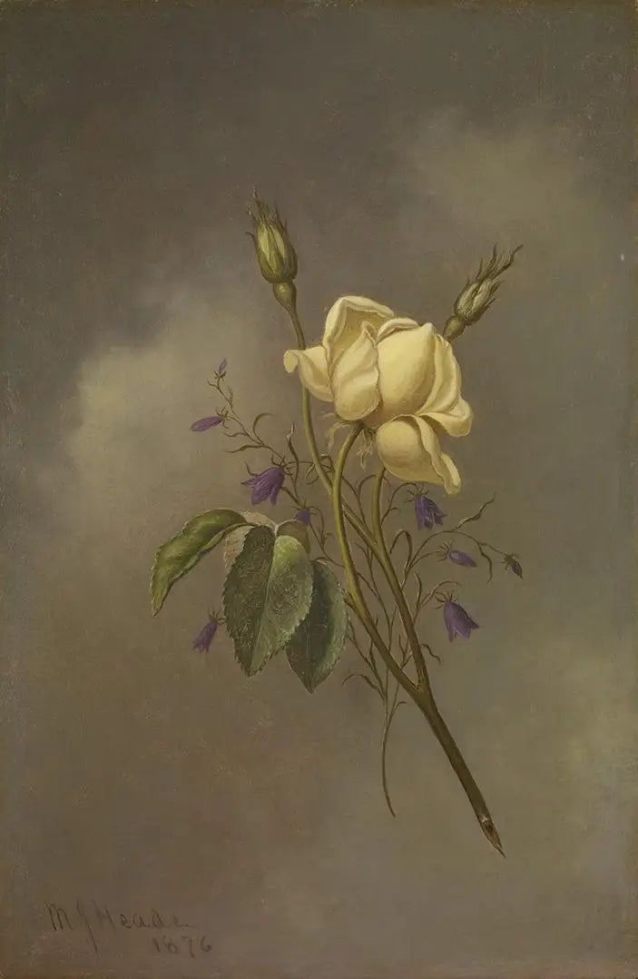 Une rose jaune contre un ciel nuageux - Martin Johnson Heade image 1 reproduction artisanale de tableau