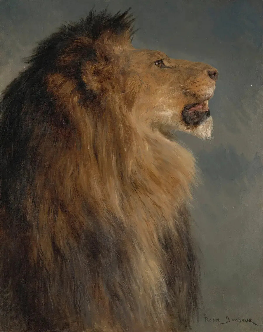 หัวสิงโต - Rosa Bonheur