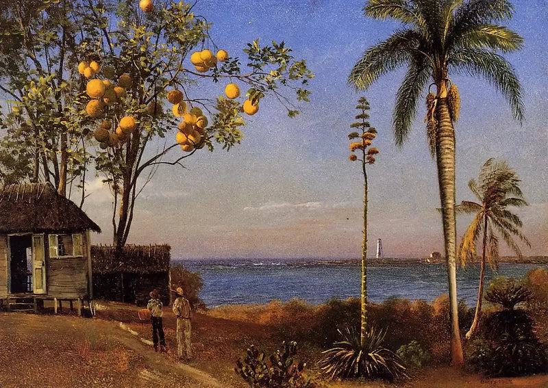 วิวในบาฮามาส, สีน้ำมันบนกระดาษเคลือบผนังบนบัว, 48,58 x 35,24 ซม. - Albert Bierstadt