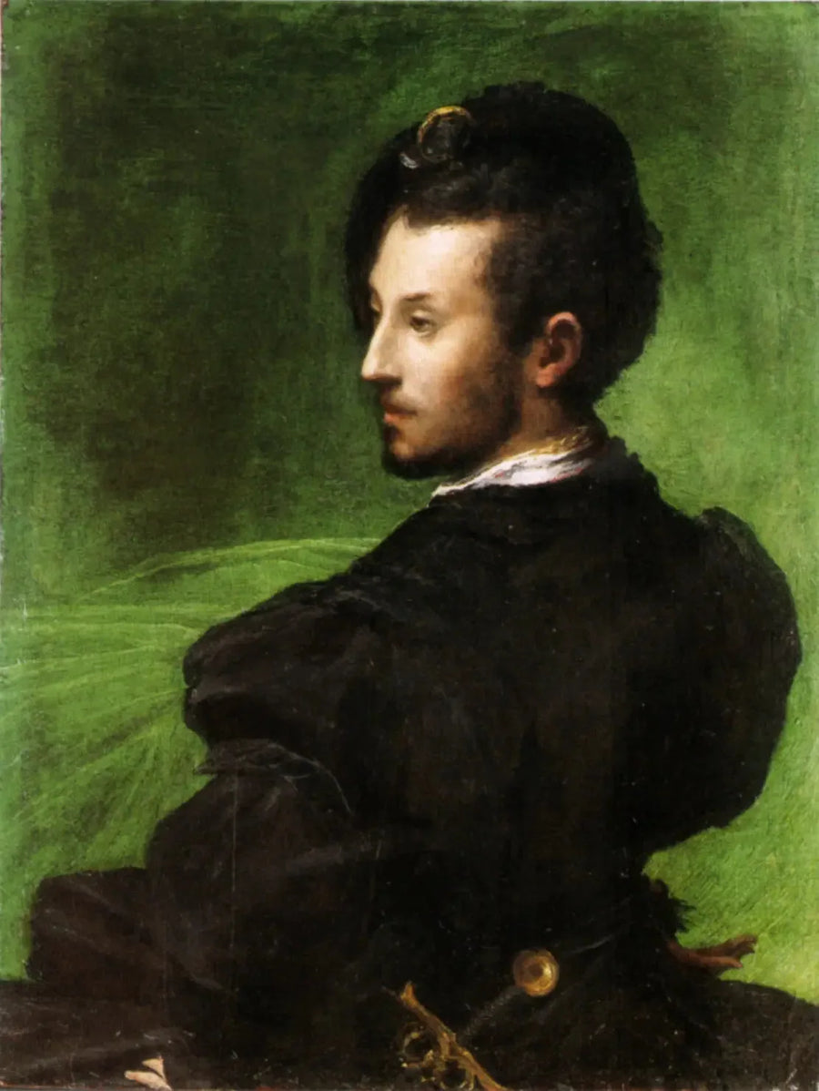 Q3937794 - Parmigianino