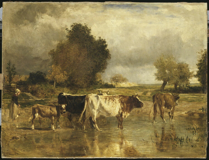 Vaches et veau à la mare - Constant Troyon