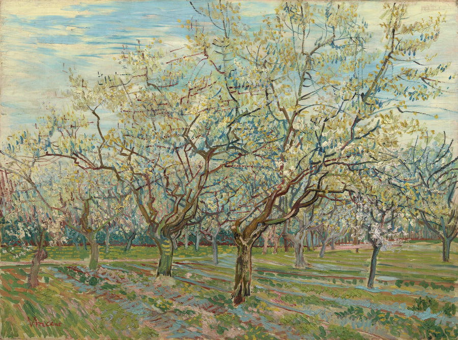 สวนผลไม้สีขาว - Vincent van Gogh