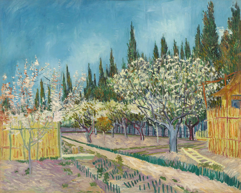 สวนผลไม้ที่มีดอกไม้บาน ริมขอบด้วยต้นไซเปรส - Vincent van Gogh