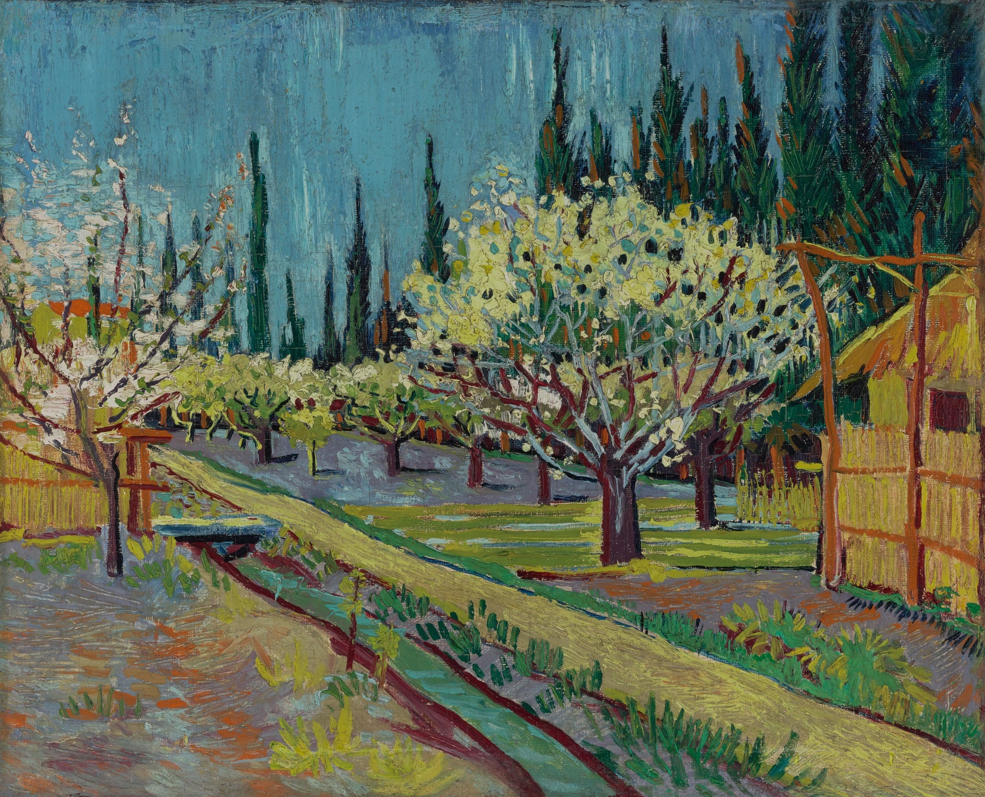 Verger en fleurs bordé de cyprès, F554 — arbres fleuris, allée et rideau de cyprès peints par Vincent van Gogh
