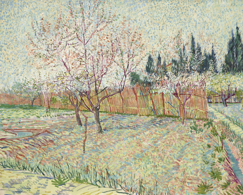 สวนผลไม้กับต้นไซเปรส - Vincent van Gogh