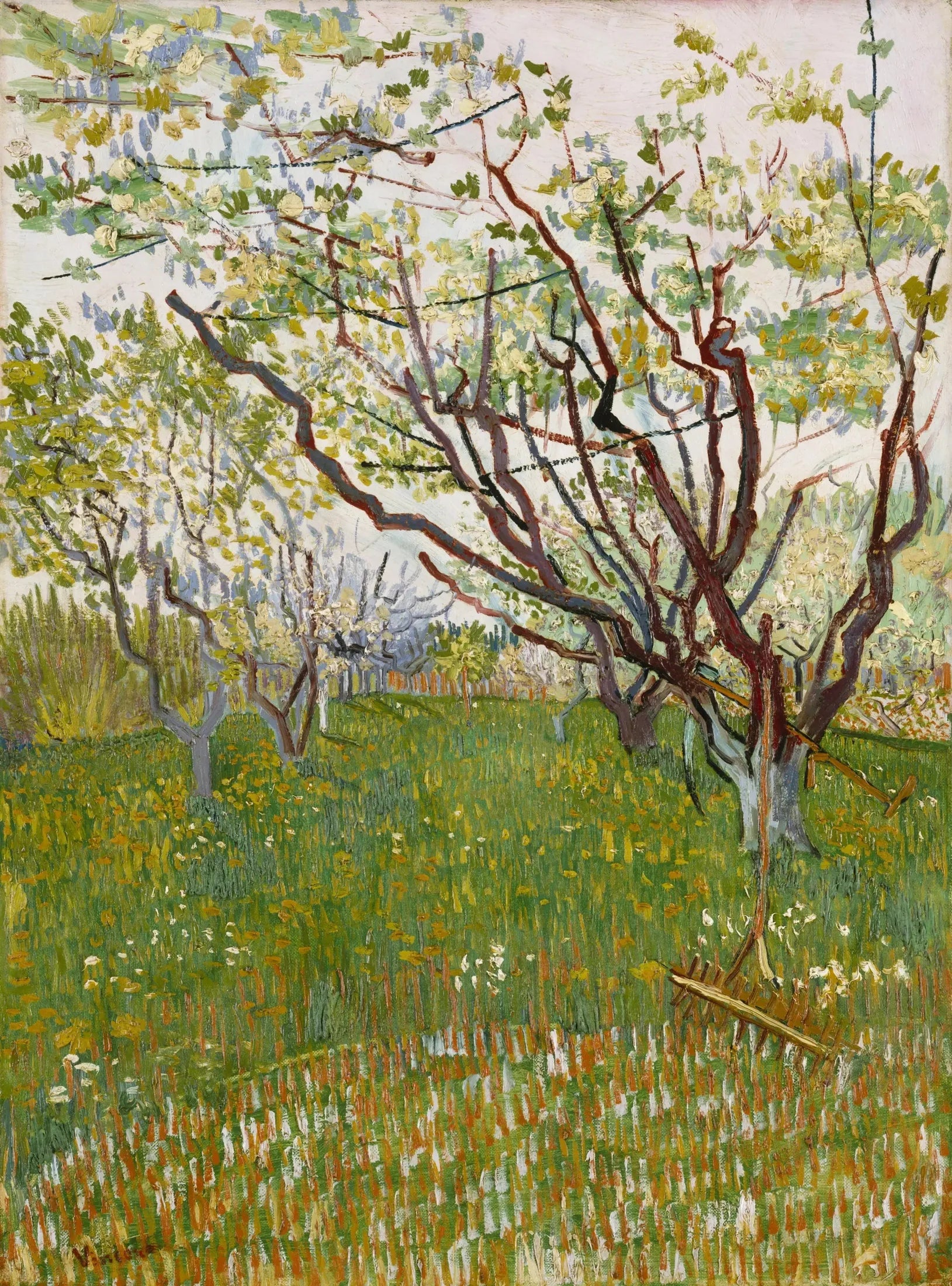 Verger en fleur - Vincent van Gogh image 1 reproduction de peinture à l’huile