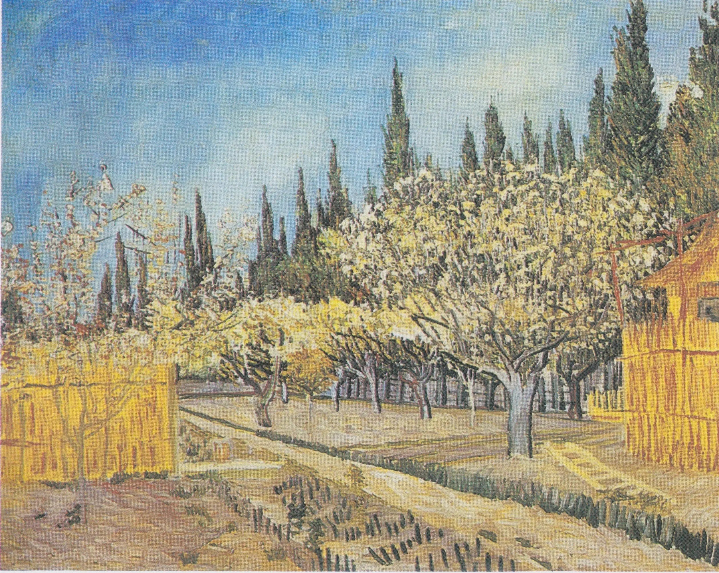 Verger en fleurs, bordé de cyprès - Vincent van Gogh image 1 reproduction réalisée par Alpha Reproduction
