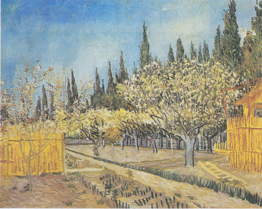 สวนผลไม้ที่มีดอกไม้บาน ริมขอบด้วยต้นไซเปรส - Vincent van Gogh