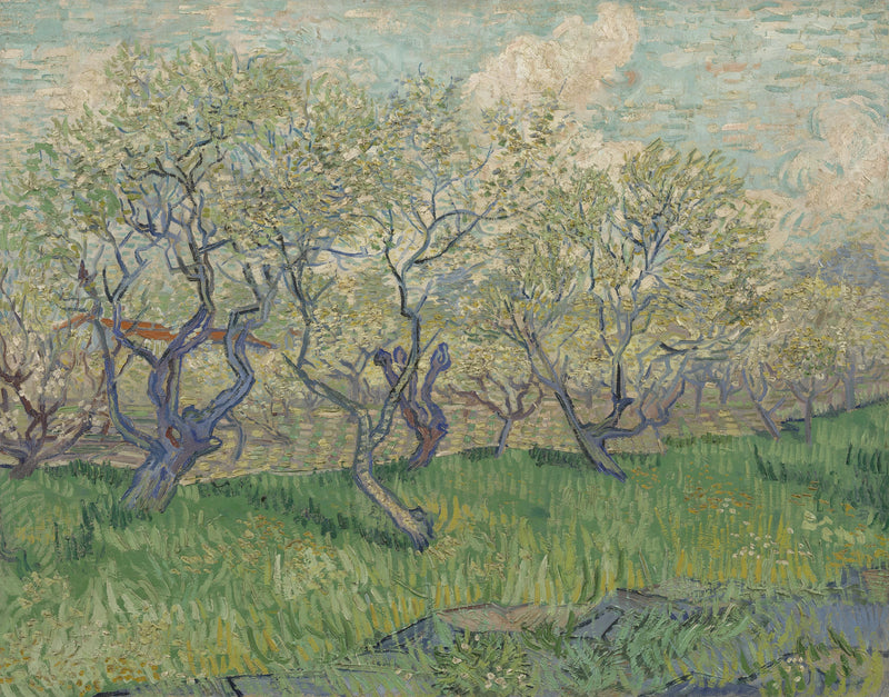 สวนผลไม้ที่บานสะพรั่ง - Vincent van Gogh