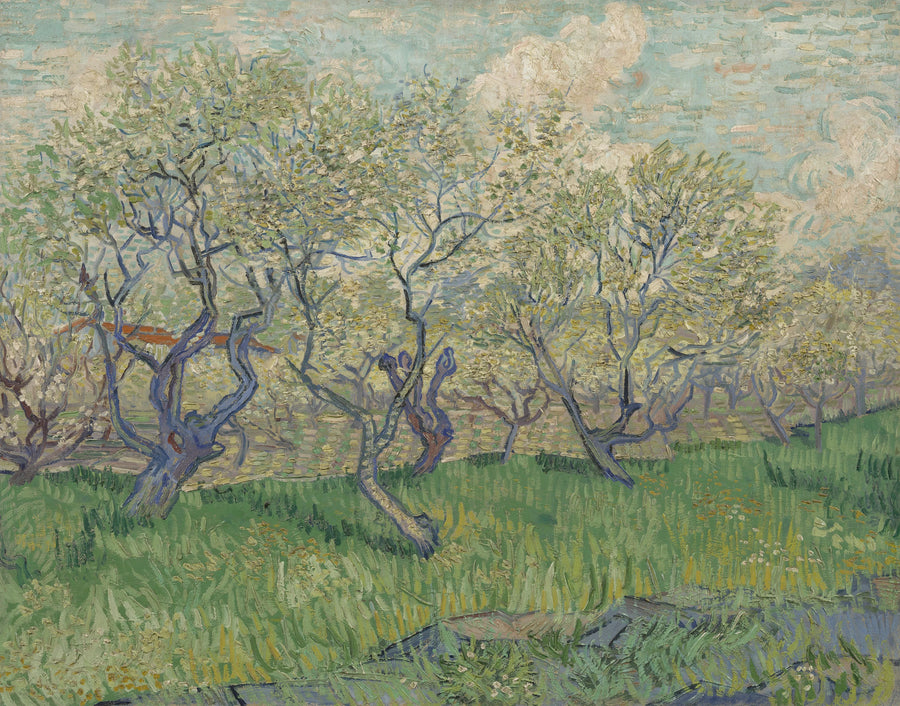 สวนผลไม้ที่บานสะพรั่ง - Vincent van Gogh