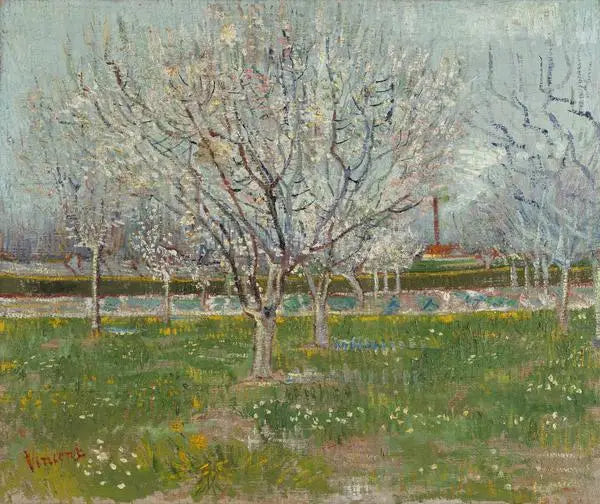 สวนผลไม้ที่บานสะพรั่ง - Vincent van Gogh