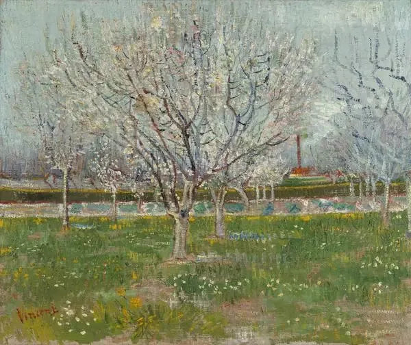 สวนผลไม้ที่บานสะพรั่ง - Vincent van Gogh