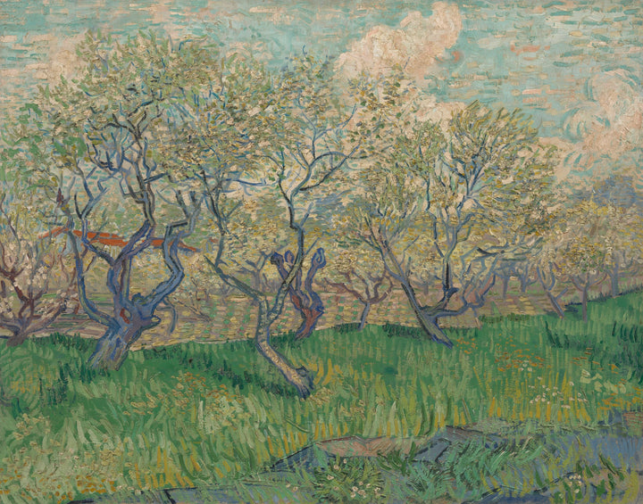 สวนผลไม้บานสะพรั่ง F511 - Vincent van Gogh