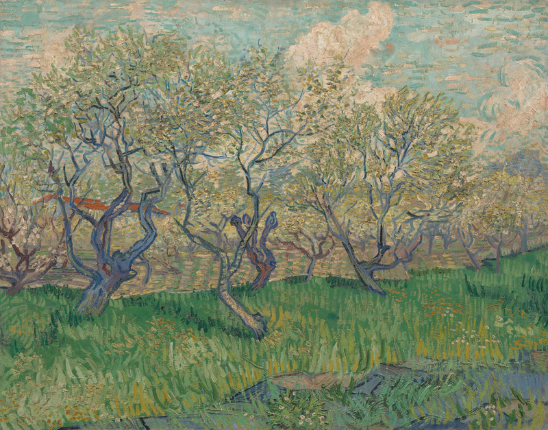 สวนผลไม้ที่บานสะพรั่ง - Vincent van Gogh