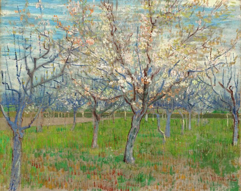 สวนผลไม้สีชมพู - Vincent van Gogh