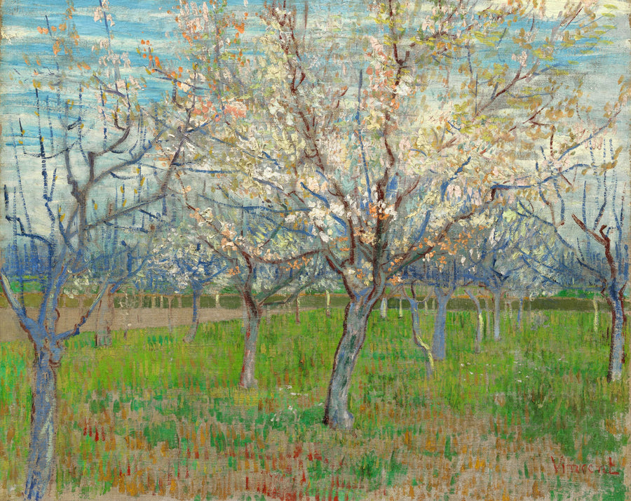 สวนผลไม้สีชมพู - Vincent van Gogh