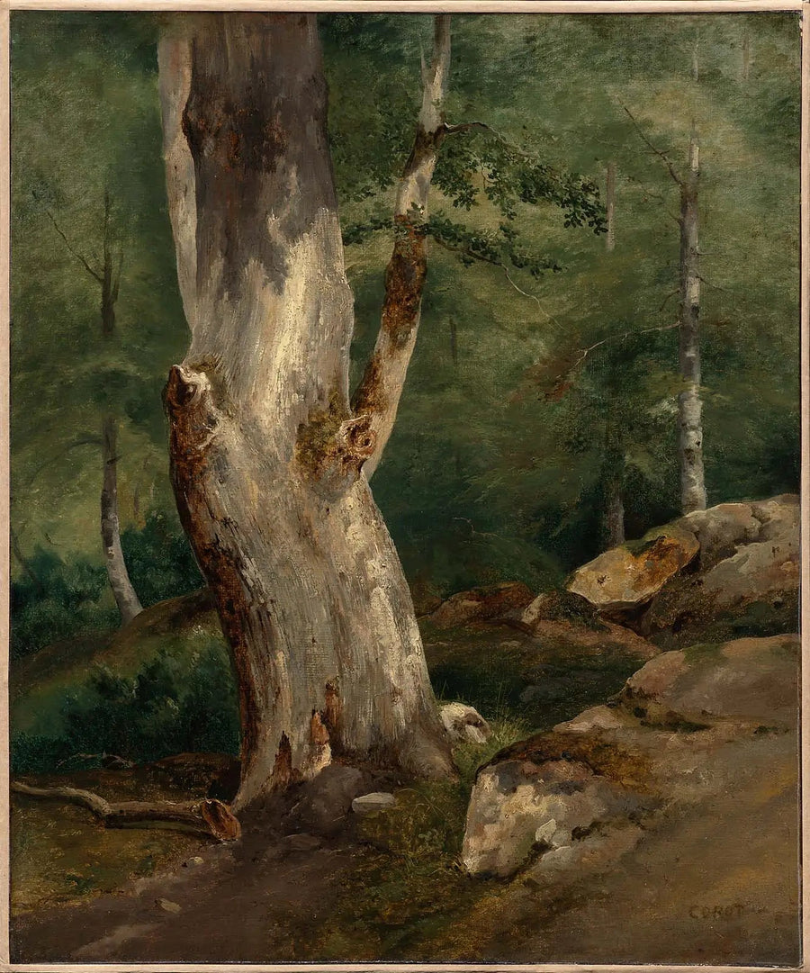 Vieux hêtre - Jean-Baptiste Camille Corot
ท็อปไม้บีชเก่า - ฌ็อง-บาติสต์ คามิลล์ คอโร