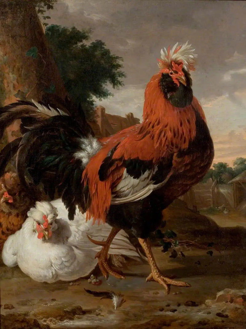 ไก่ชน - เมลคิออร์ เดอ ฮอนเดคูเทอร์