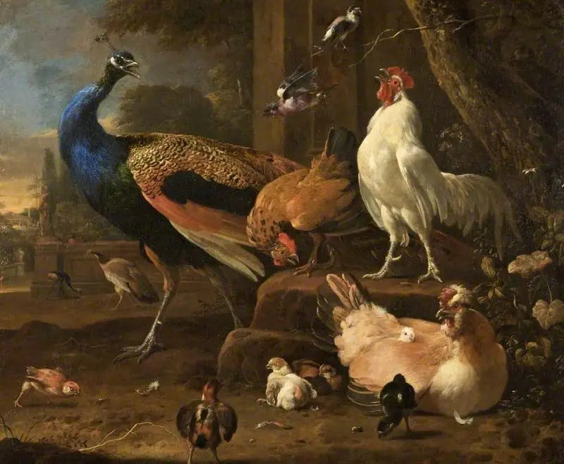 ไก่ชน - เมลคิออร์ เดอ ฮอนเดคูเทอร์