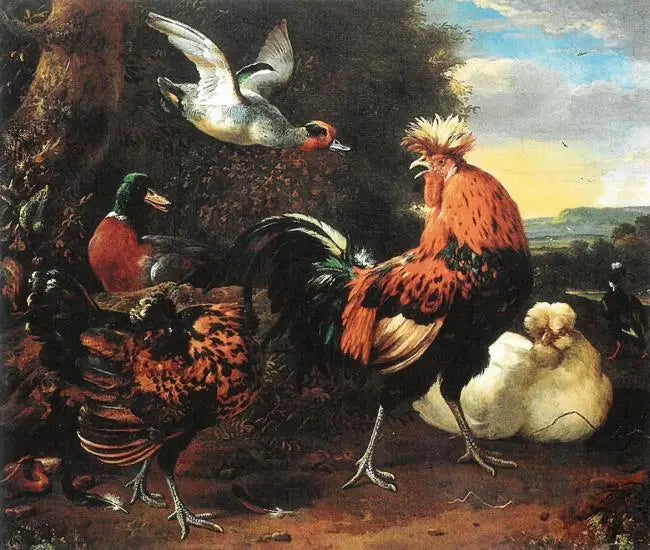 ไก่ชน - เมลคิออร์ เดอ ฮอนเดคูเทอร์